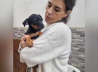 POLO-bald alt genug für seinen guten Start ins Leben