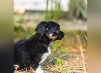 BIMBA-spannende Ausflüge, gemeinsame Urlaube und einem rundum Sorglos-Paket gewünscht