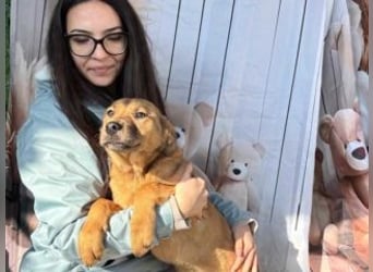 PRINCESS-Wären Sie bereit, Princess zum Teil Ihrer Familie zu machen?