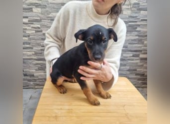 POLO-bald alt genug für seinen guten Start ins Leben