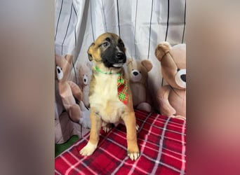 Max – hat sein Köfferchen schon gepackt