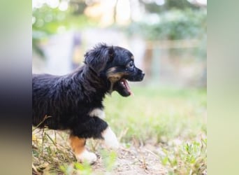 BIMBA-spannende Ausflüge, gemeinsame Urlaube und einem rundum Sorglos-Paket gewünscht