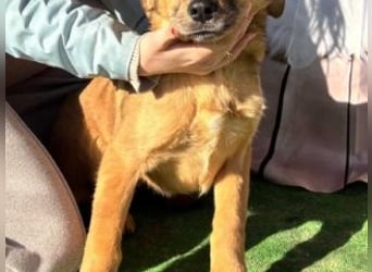 PRINCESS-Wären Sie bereit, Princess zum Teil Ihrer Familie zu machen?