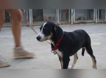 FRITZ-bezaubernder, fröhlicher, aufgeweckter Bub auf der Suche nach liebevoller Für-immer-Familie