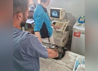 LEO-Kleiner Leomann, aus Dir, kleiner Nacktfrosch wird einmal ein schöner und gütiger Prinz.