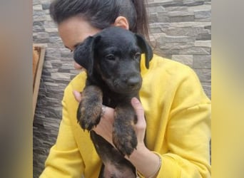 MARCO-sucht bald ein eigenes Zuhause