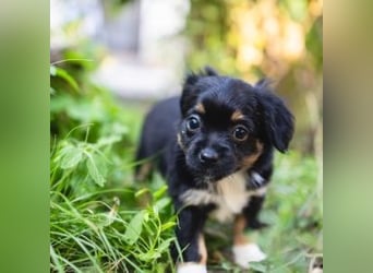 BIMBA-spannende Ausflüge, gemeinsame Urlaube und einem rundum Sorglos-Paket gewünscht