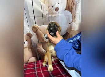 Max – hat sein Köfferchen schon gepackt