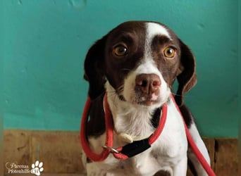 Jonna hat ein freundliches., verschmustes Wesen