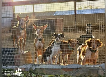 Jonna hat ein freundliches., verschmustes Wesen