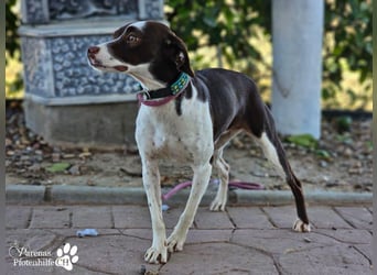 Jonna hat ein freundliches., verschmustes Wesen