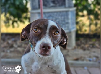 Jonna hat ein freundliches., verschmustes Wesen