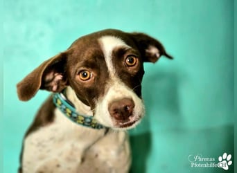 Jonna hat ein freundliches., verschmustes Wesen