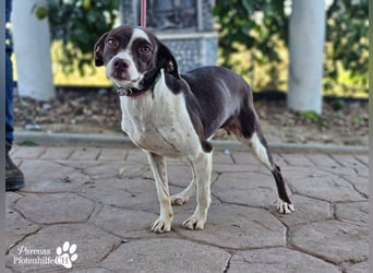 Jonna hat ein freundliches., verschmustes Wesen