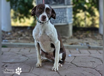 Jonna hat ein freundliches., verschmustes Wesen