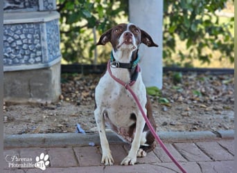 Jonna hat ein freundliches., verschmustes Wesen