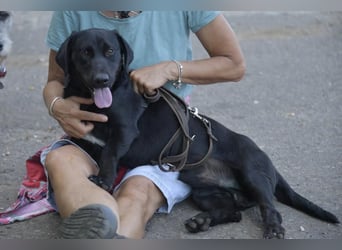Cooper. der II. Riesenbaby und Tollpatsch sucht seinen Happyplaces