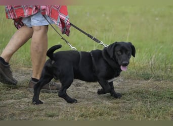 Cooper. der II. Riesenbaby und Tollpatsch sucht seinen Happyplaces