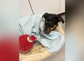 Kleine, schüchterne Rica sucht liebe Menschen