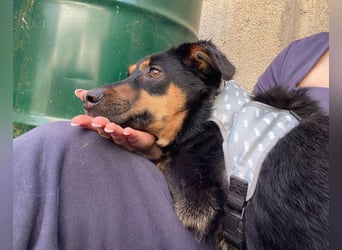 Kleine, schüchterne Rica sucht liebe Menschen