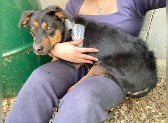 Kleine, schüchterne Rica sucht liebe Menschen