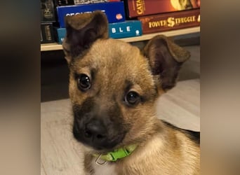 Zuckerschock Popcorn will eine liebe Familie