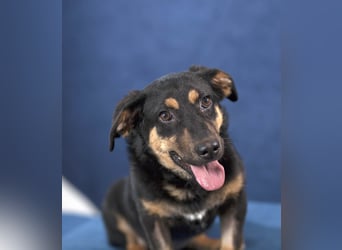 Kleine, schüchterne Rica sucht liebe Menschen