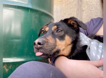 Kleine, schüchterne Rica sucht liebe Menschen