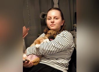 Zuckerschock Popcorn will eine liebe Familie