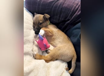 Zuckerschock Popcorn will eine liebe Familie