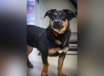 Kleine, schüchterne Rica sucht liebe Menschen