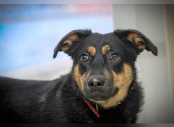 Kleine, schüchterne Rica sucht liebe Menschen