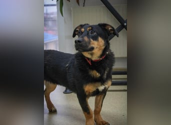 Kleine, schüchterne Rica sucht liebe Menschen