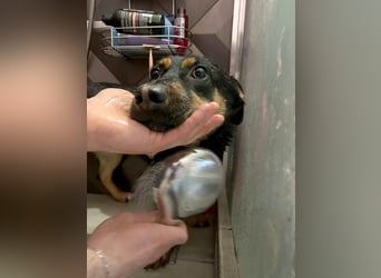 Kleine, schüchterne Rica sucht liebe Menschen