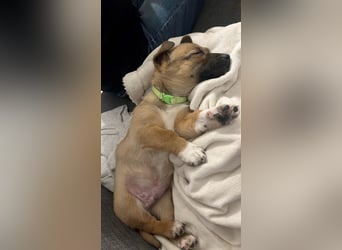 Zuckerschock Popcorn will eine liebe Familie