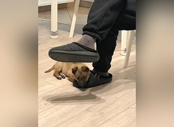 Zuckerschock Popcorn will eine liebe Familie