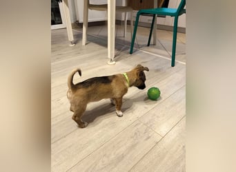 Zuckerschock Popcorn will eine liebe Familie