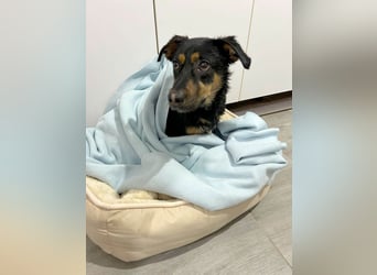 Kleine, schüchterne Rica sucht liebe Menschen