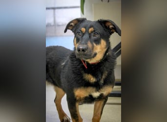 Kleine, schüchterne Rica sucht liebe Menschen