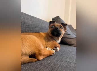 Zuckerschock Popcorn will eine liebe Familie