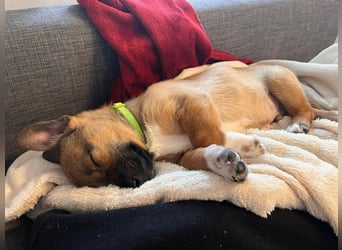 Zuckerschock Popcorn will eine liebe Familie