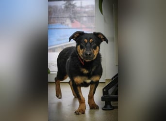 Kleine, schüchterne Rica sucht liebe Menschen