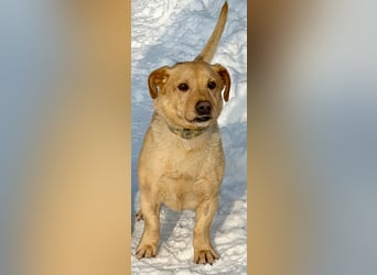 Morzsa, ein fröhlicher kleiner Herzensbrecher !