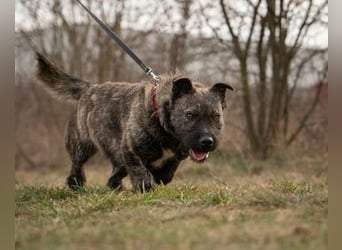 Duci Juci, bezaubernder Wonneproppen mit außergewöhnlichem Ausssehen