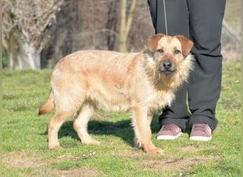 Hübsche Blondine Szölö sucht geduldige Menschen