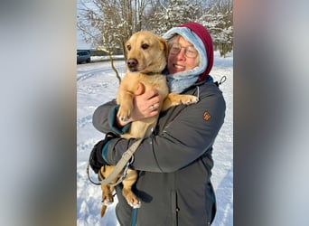 Morzsa, ein fröhlicher kleiner Herzensbrecher !