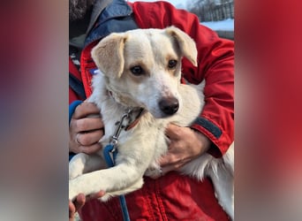 Sonnenschein Albert sucht ein Zuhause !