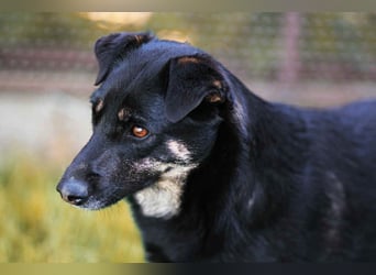 Menschenbezogene Lana sucht ihre Familie