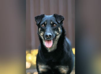 Menschenbezogene Lana sucht ihre Familie