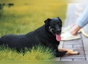 Menschenbezogene Lana sucht ihre Familie